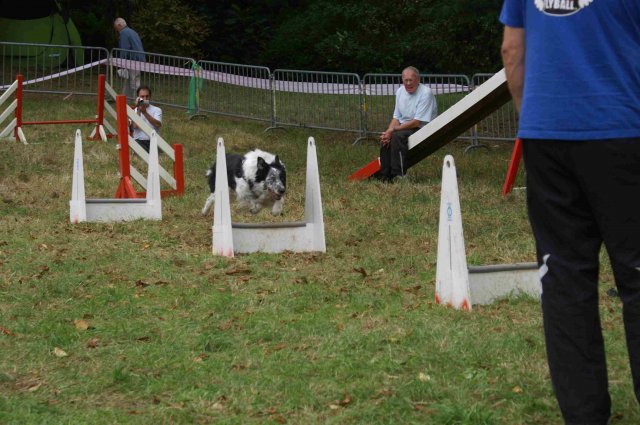 foire-haricots 2011-09-17et18
